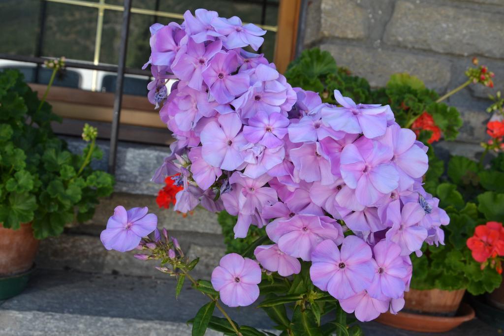 B&B Les Fleurs Gignod Esterno foto