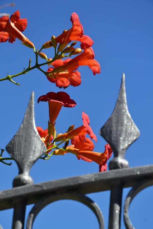 B&B Les Fleurs Gignod Camera foto